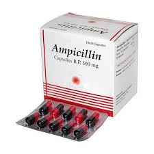 Ampicillin 500mg Cap